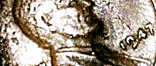 wheat penny_image_new.jpg