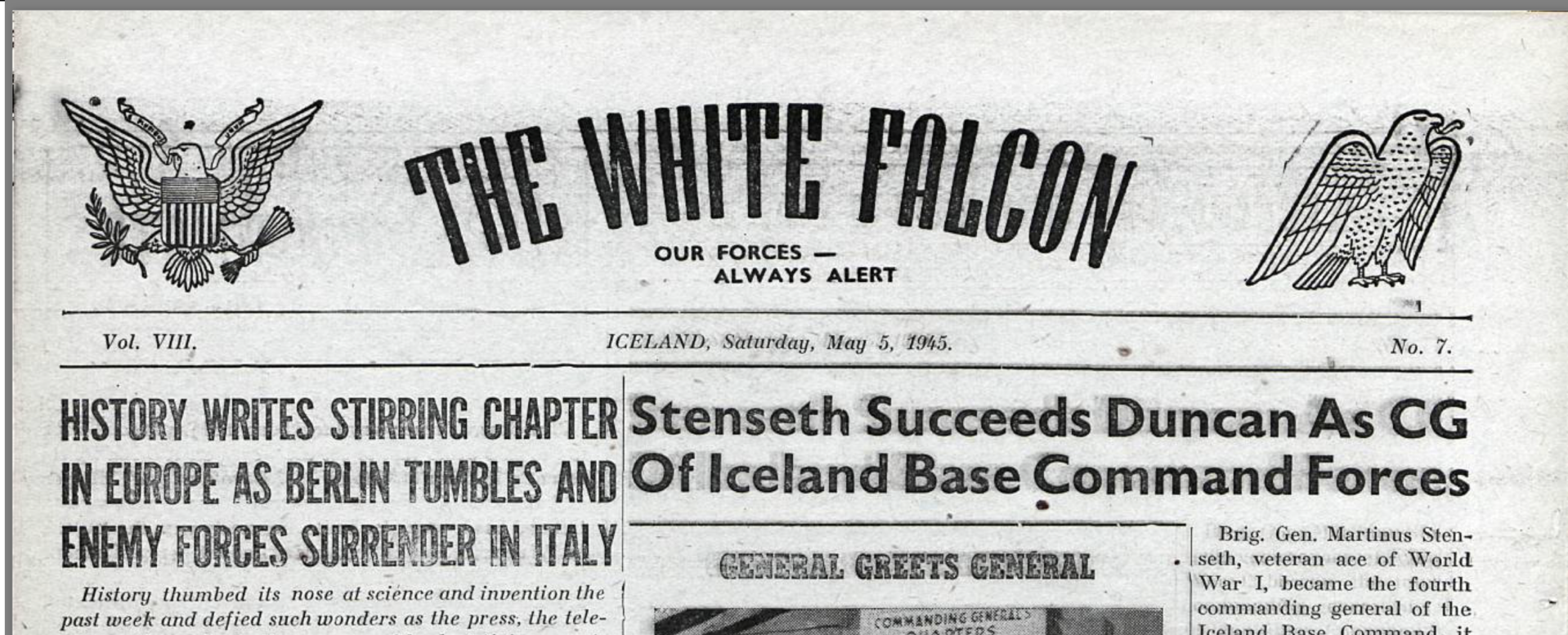 White Falcon Banner.png