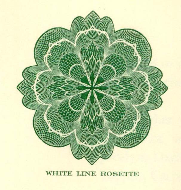 White line rosette.jpg