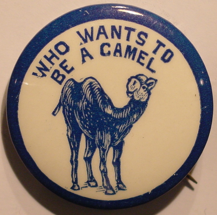 Who wants camel.jpeg