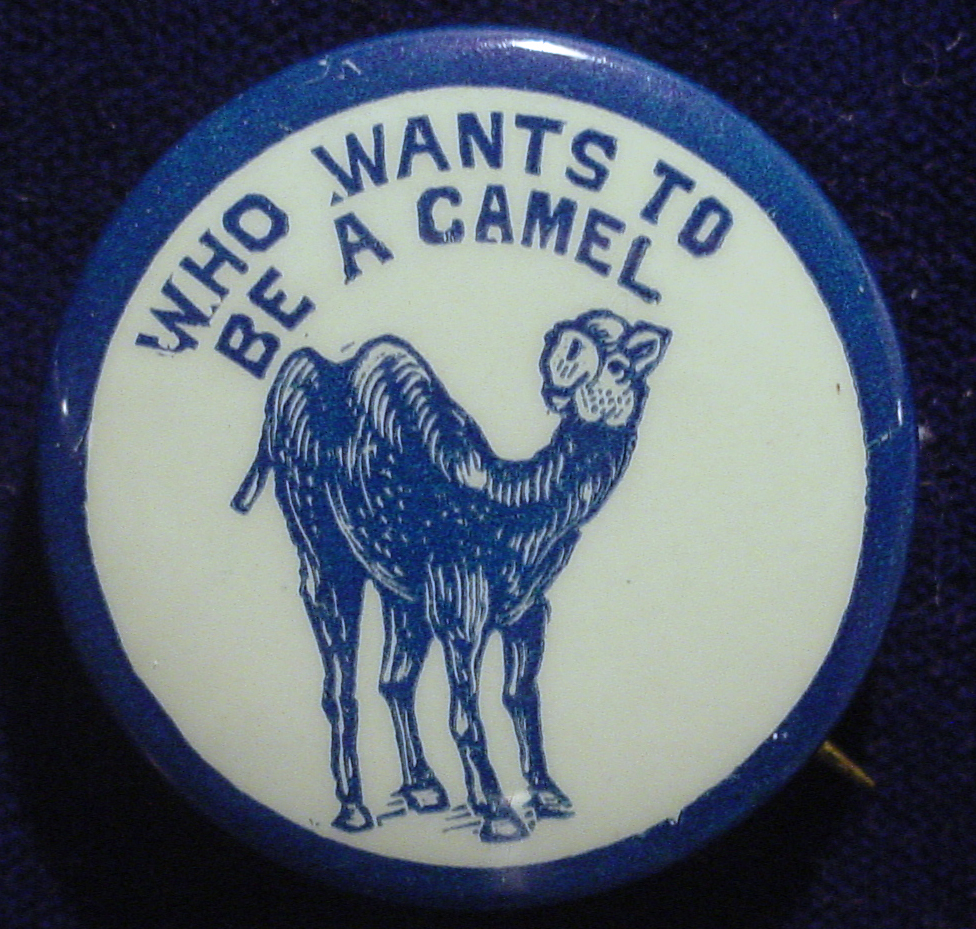 Who Wants Camel.jpg