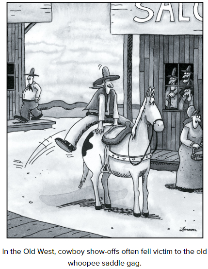 whoopee saddle.jpg