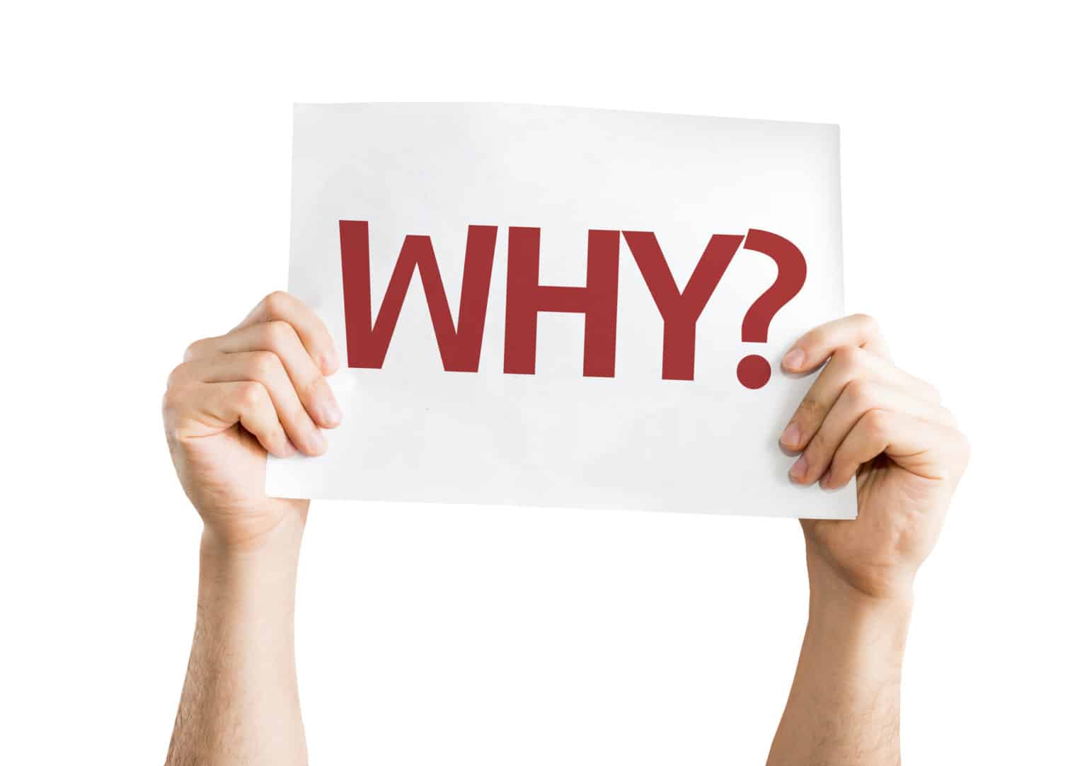 why-1536x1082.jpg