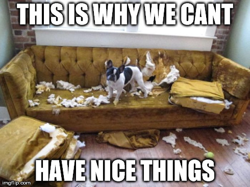 whywecanthavenicethings.jpg