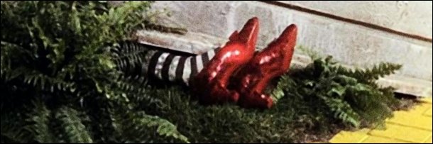 wicked witch.jpg