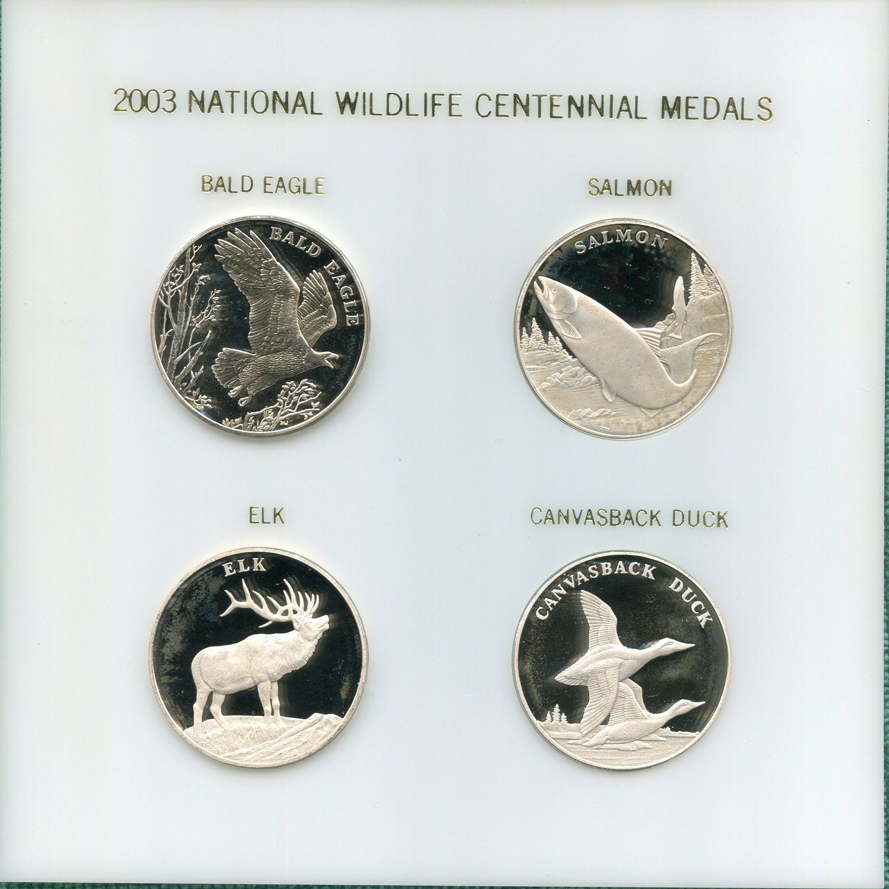 Wildlife Medals.jpg