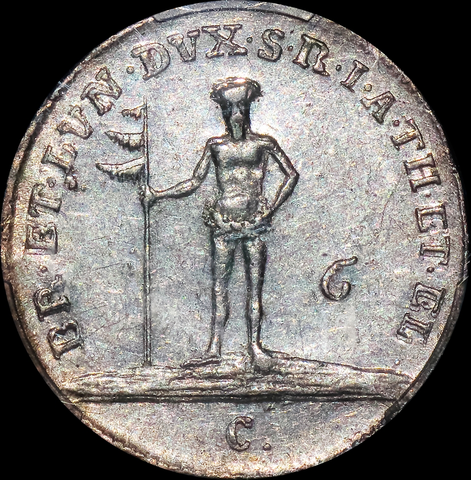 wildman 1788.jpg