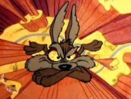 wile e coyote 7.jpg