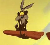 wile e coyote rocks.jpg