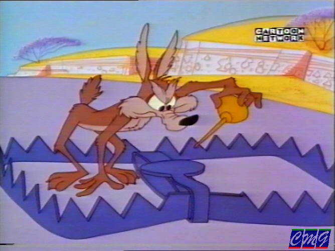 Wile E Stevex6.jpg
