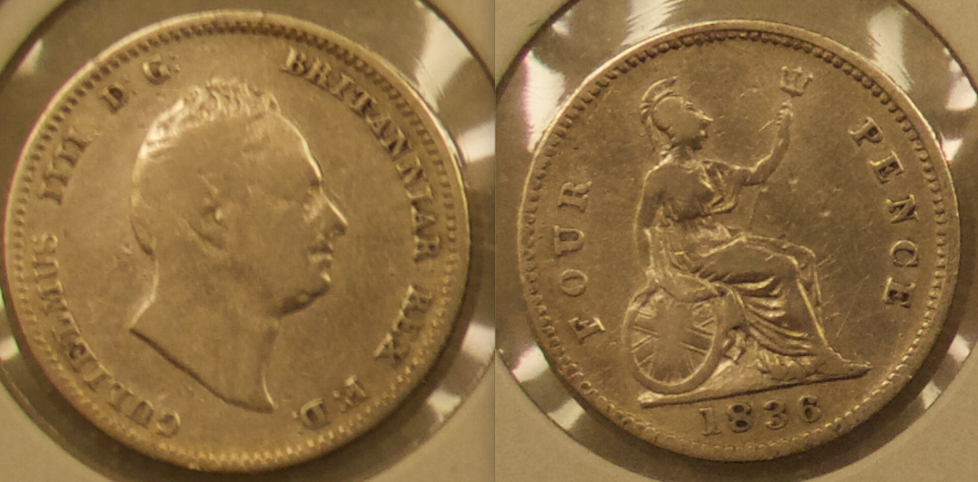 William IV 1836 copy.jpeg