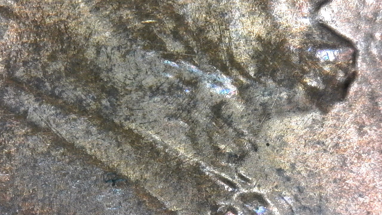 WIN_20180816_12_38_17_Pro.jpg