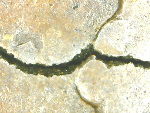 WIN_20190424_224415.JPG