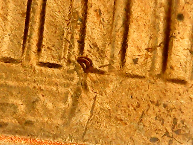 WIN_20200517_20_50_19_Pro.jpg