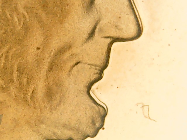 WIN_20200601_00_48_22_Pro.jpg
