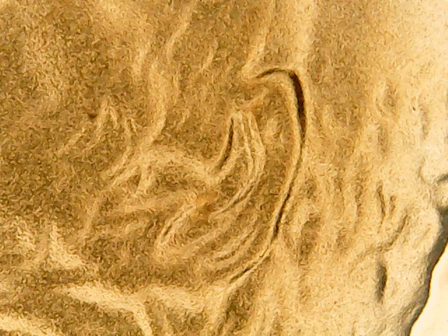 WIN_20200601_06_46_14_Pro.jpg