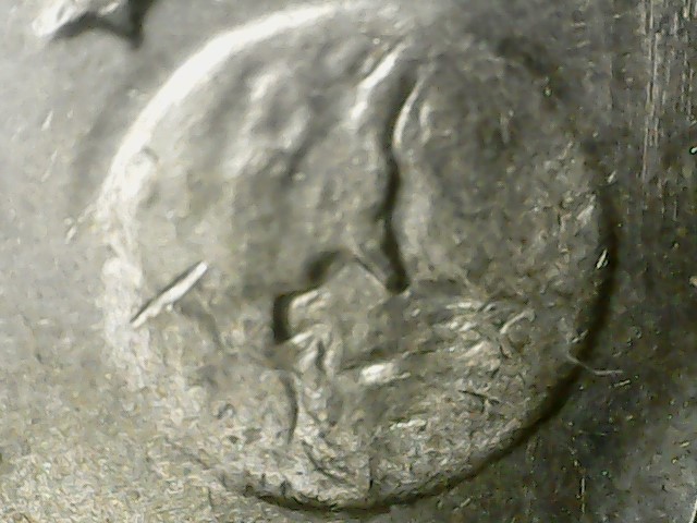 WIN_20210203_18_34_12_Pro.jpg