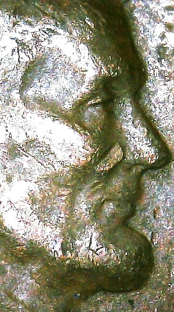 WIN_20210224_17_23_30_Pro.jpg