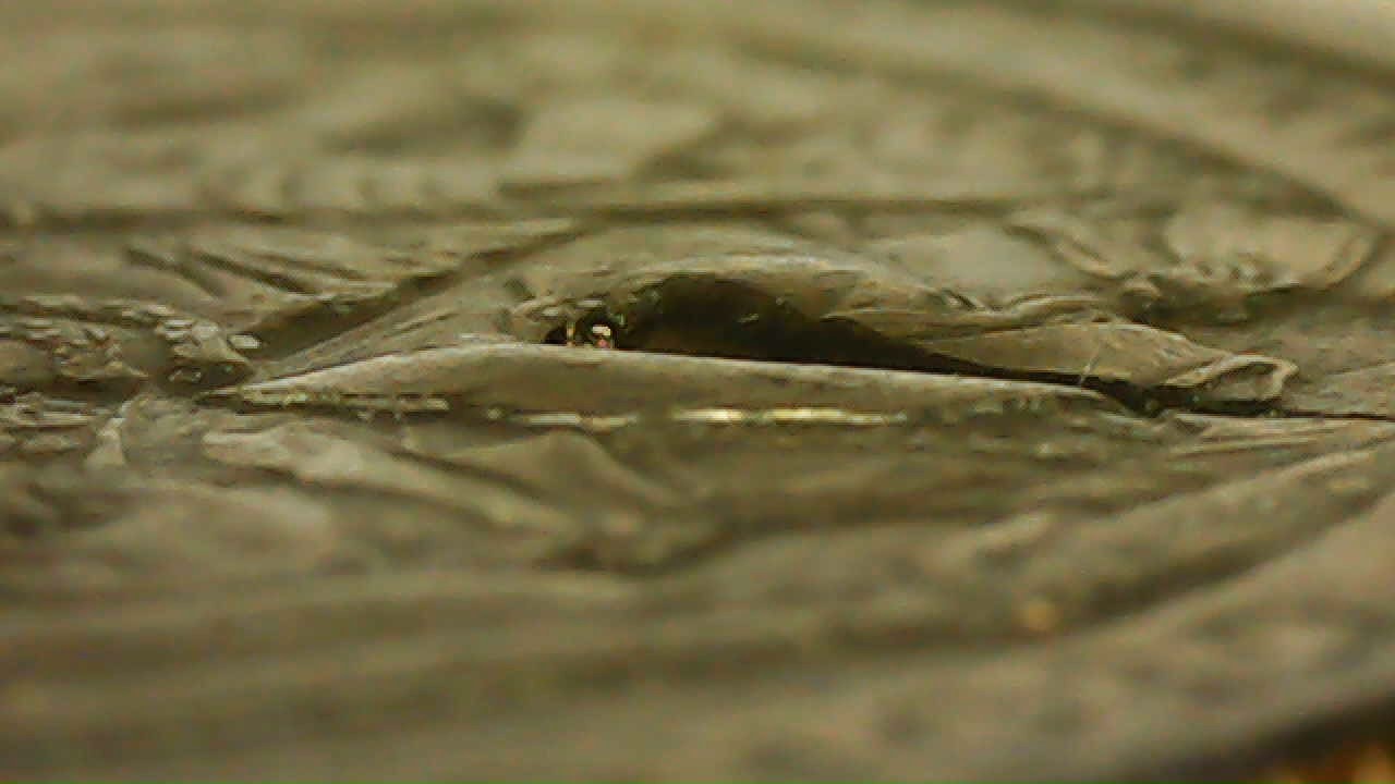 WIN_20211021_22_15_08_Pro.jpg
