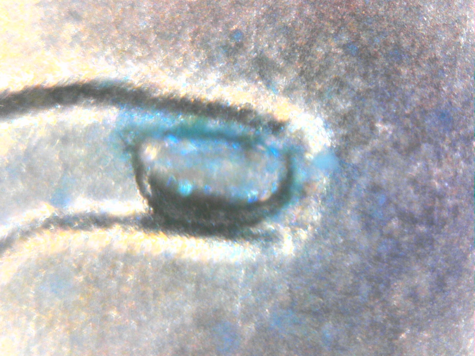 WIN_20220126_18_37_38_Pro.jpg