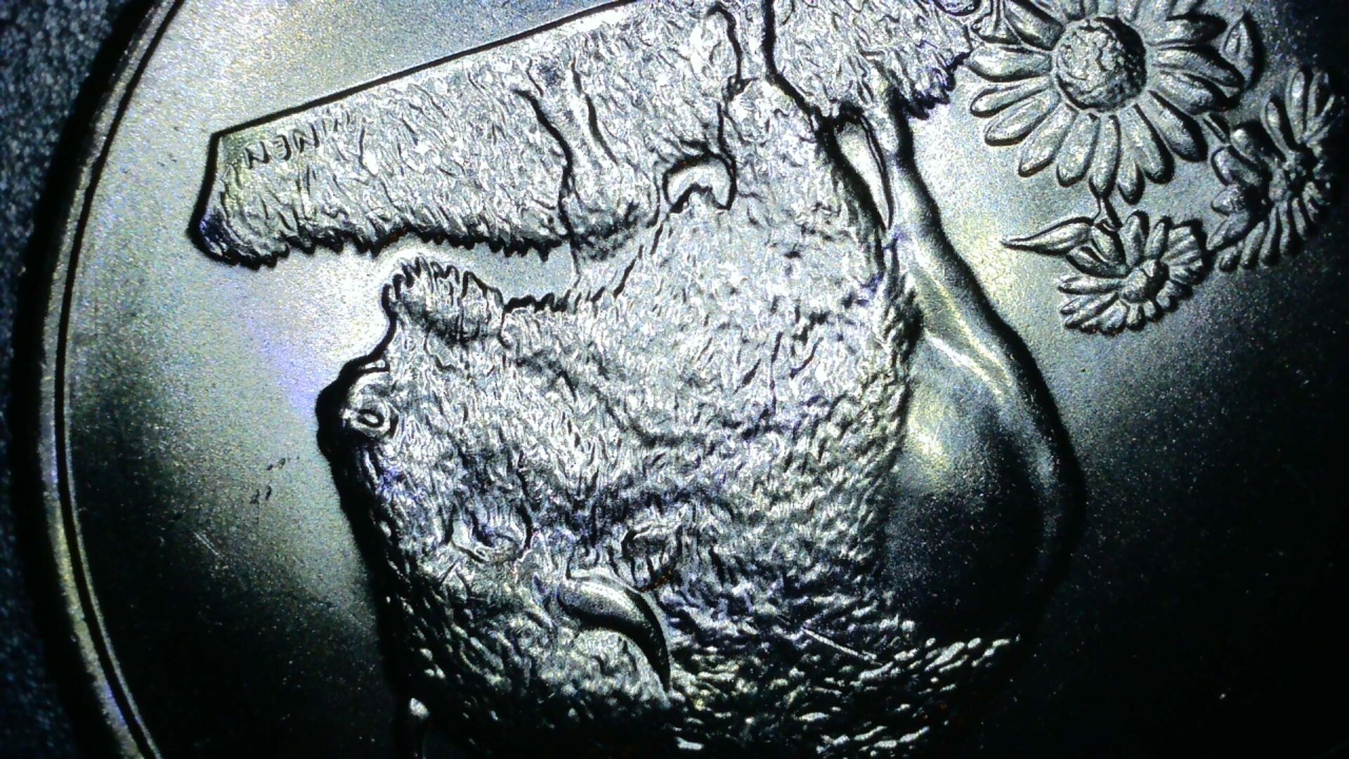 WIN_20230102_19_41_08_Pro.jpg