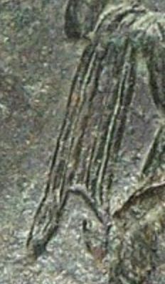 Wing from Gorny.jpg