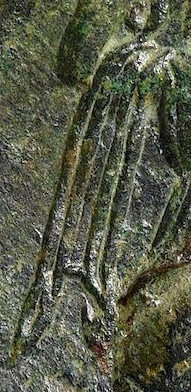 Wing from slabbed coin.jpg
