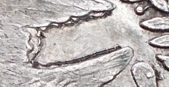 wing.jpg