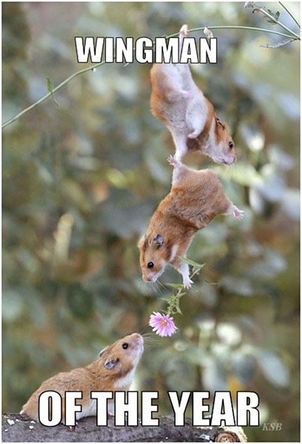 wingman.jpg