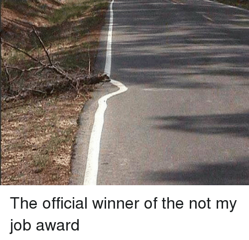 Winner of the Not My Job Award.png