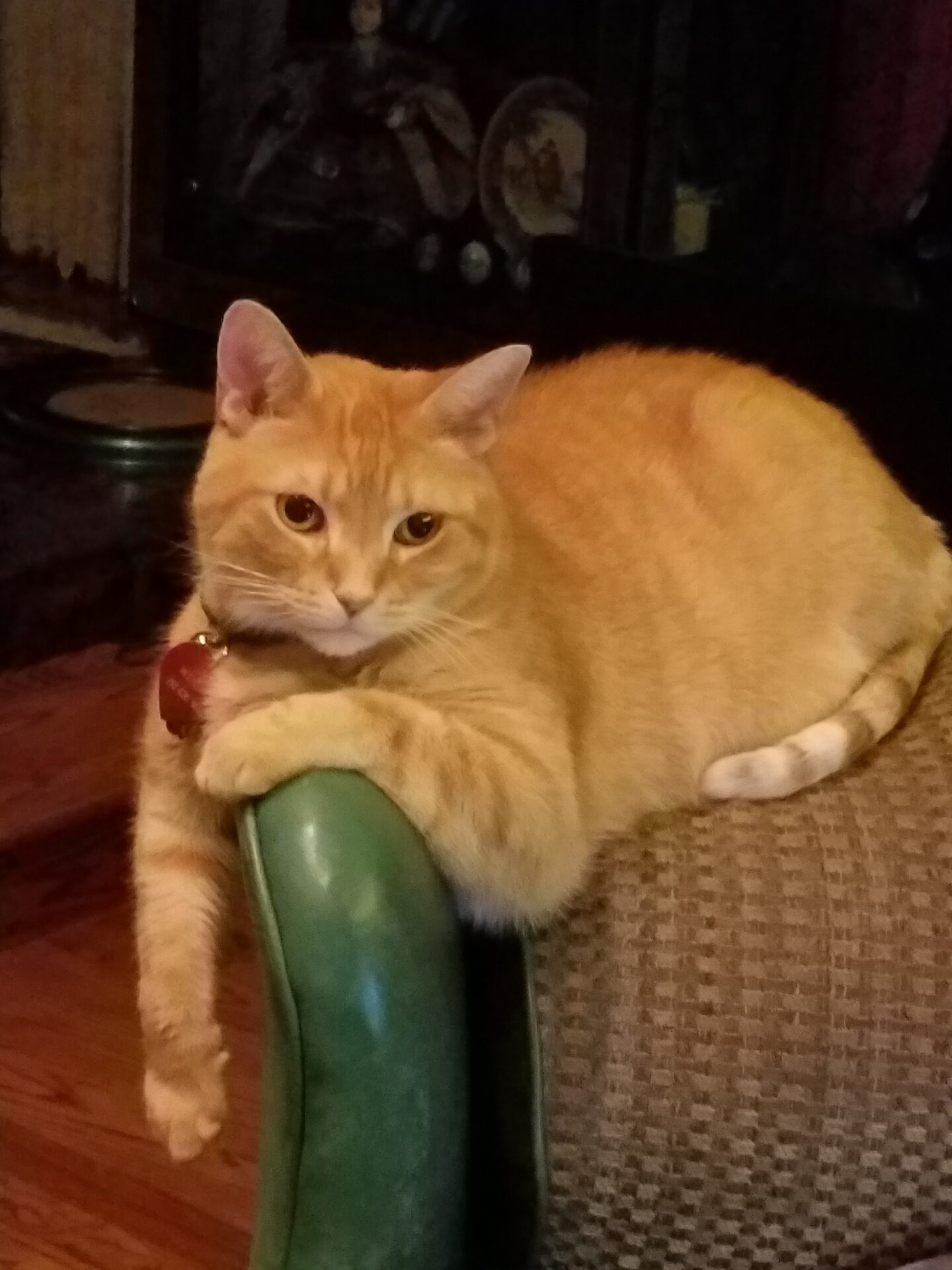 Winston.jpg