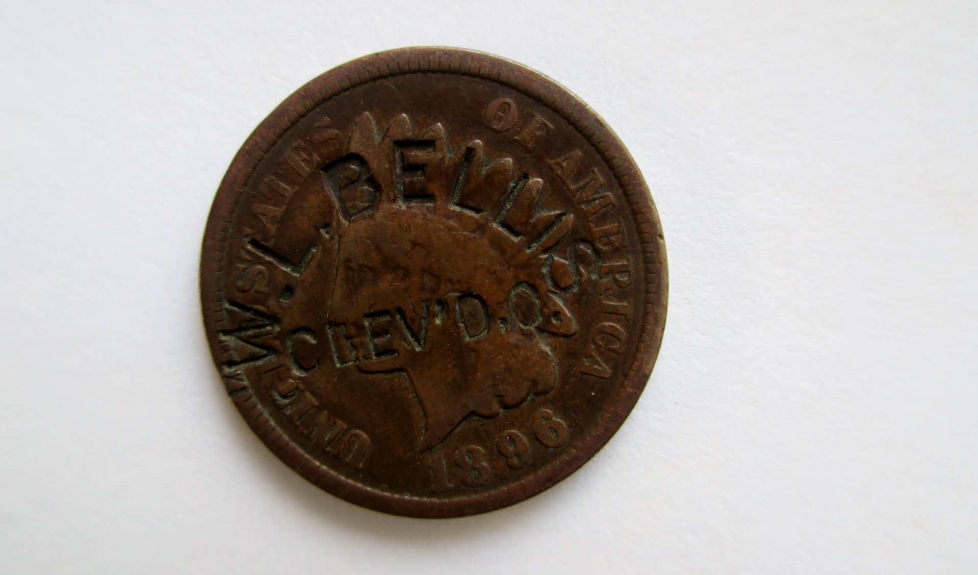WL Bellis 1.JPG
