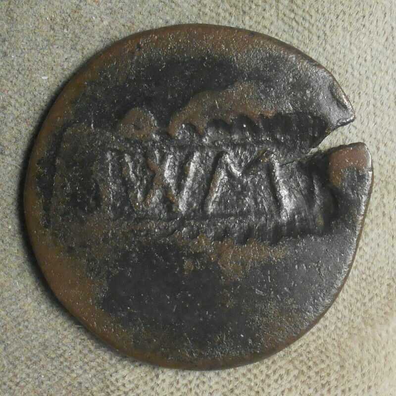 WM 1.jpg