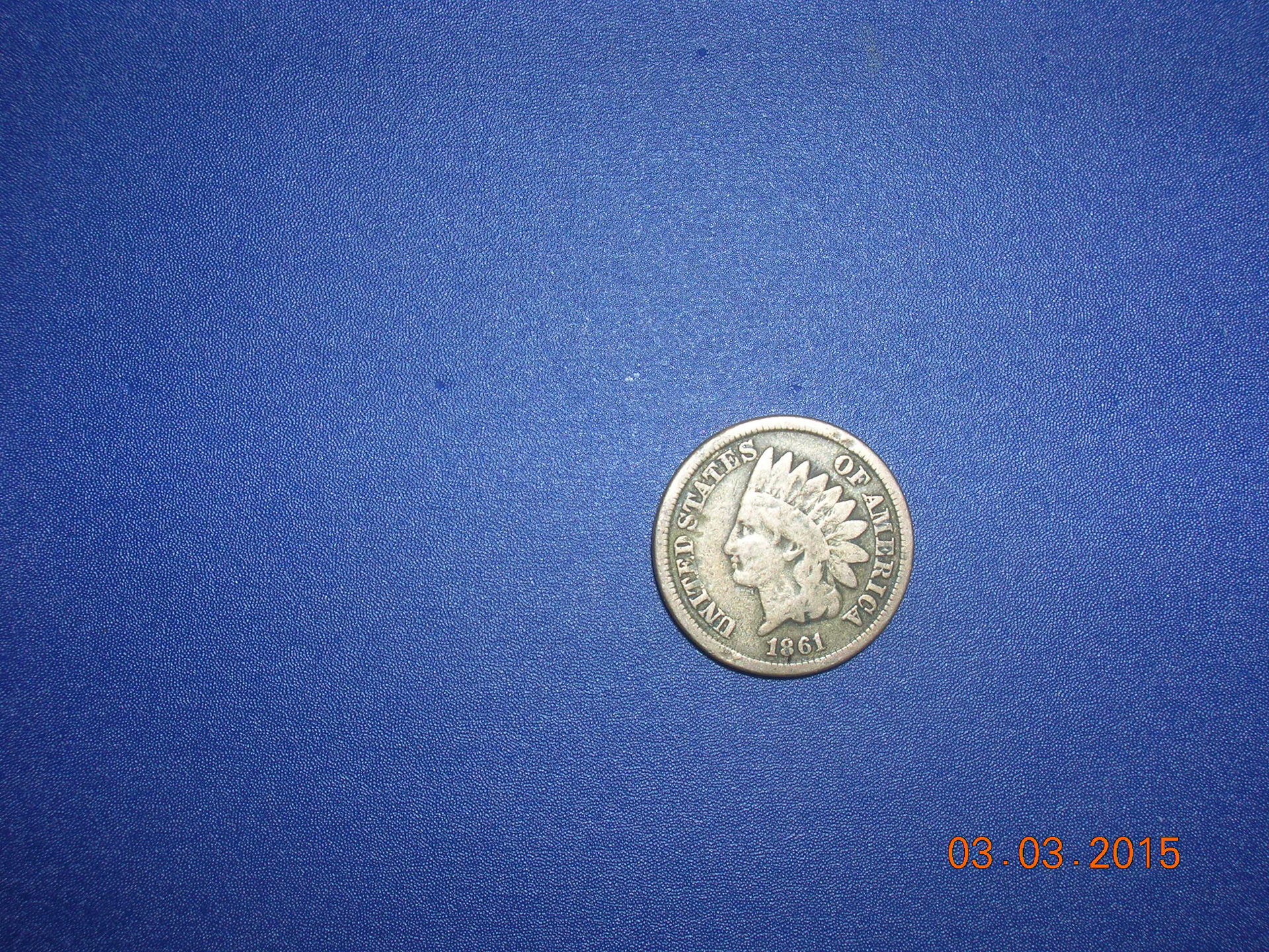 wnt61f.JPG