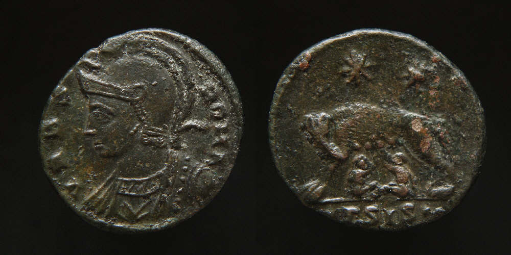 Wolf and Twins GammaSIS ex D.JPG