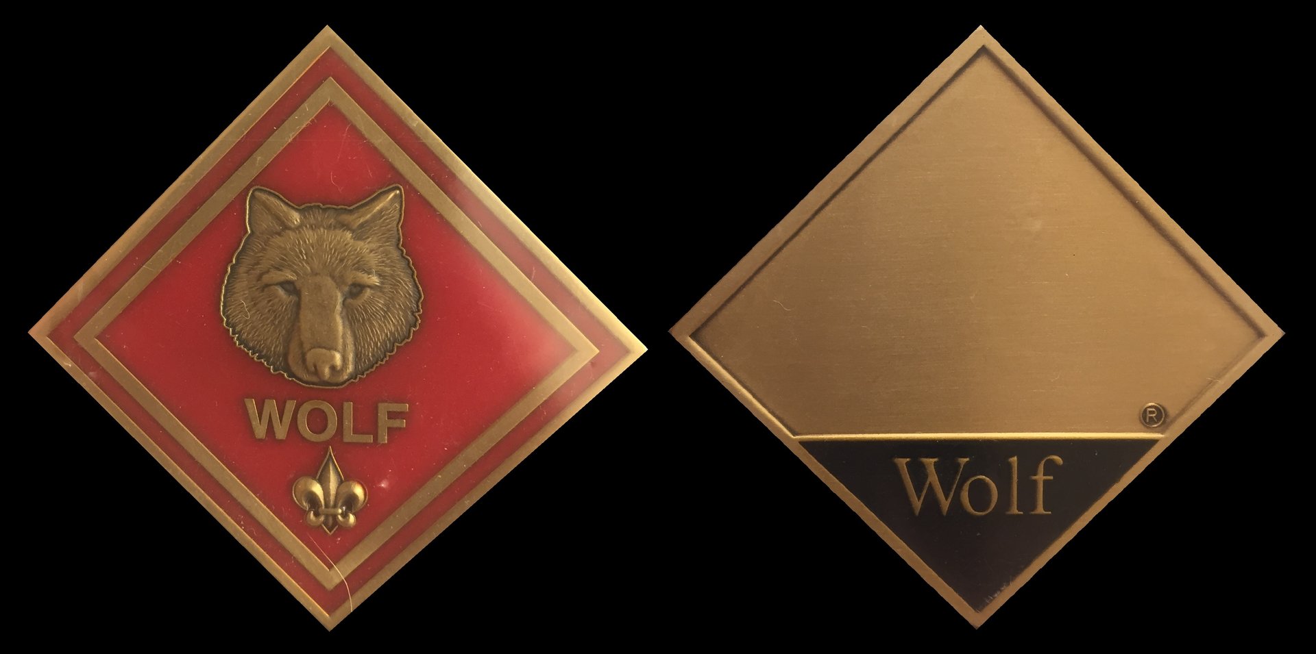 Wolf Challenge Coin.jpg