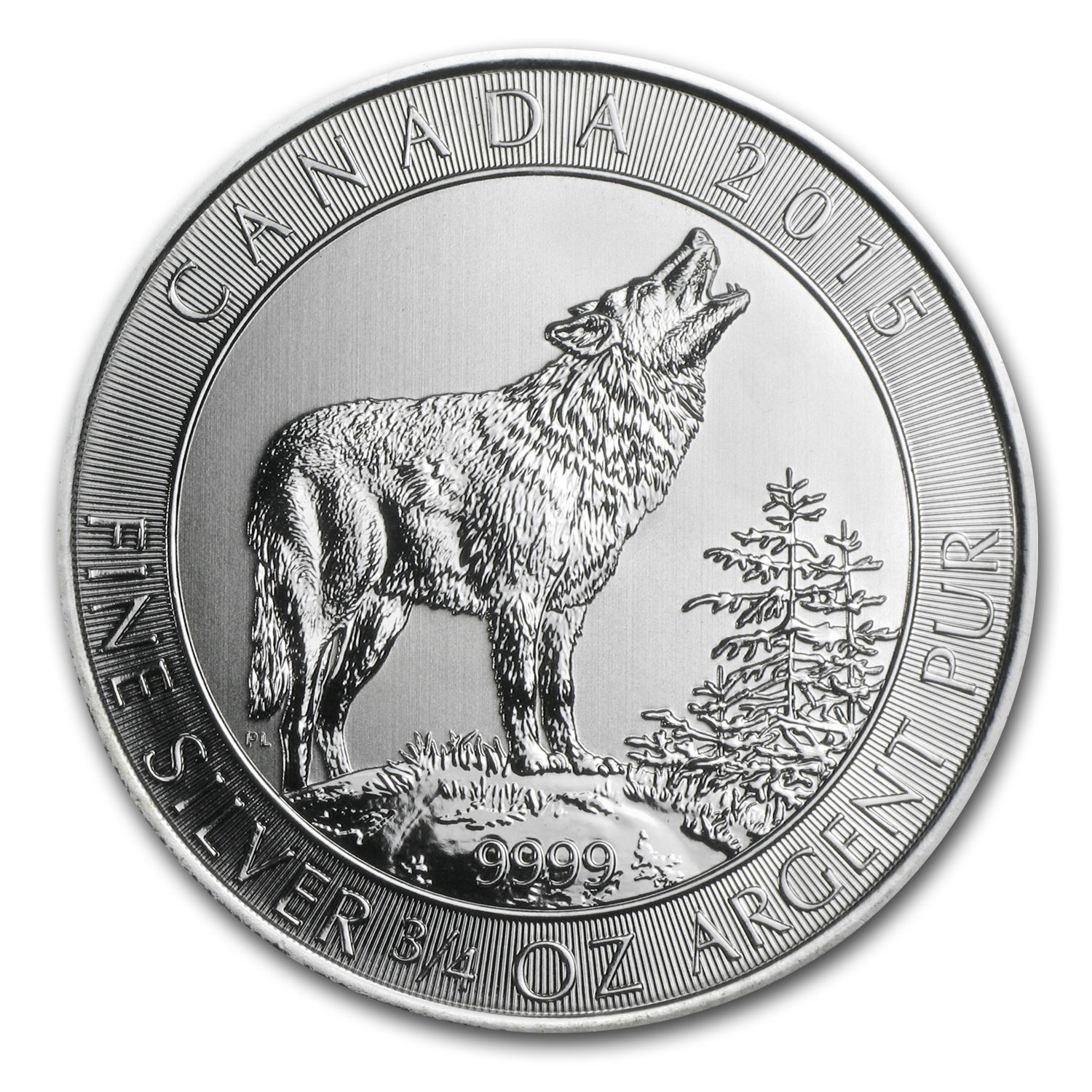 wolf1.JPG