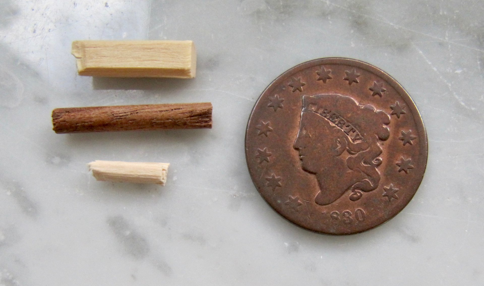 wood sticks - 1.jpg