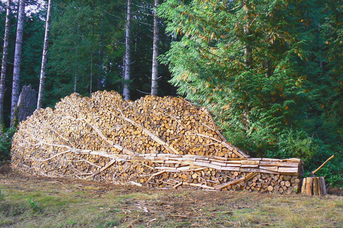 Woodpile tree art.jpg