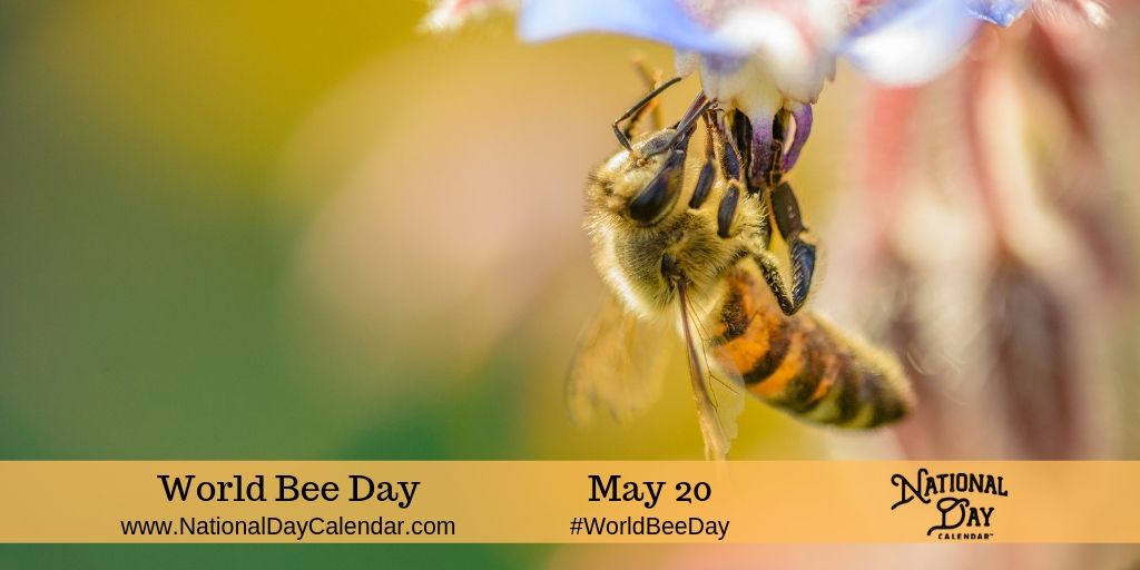 World-Bee-Day-May-20.jpg