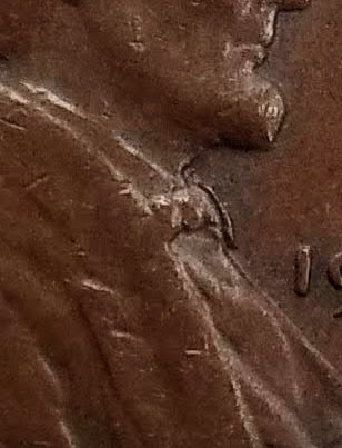 worm.jpg