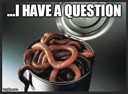worms.JPG