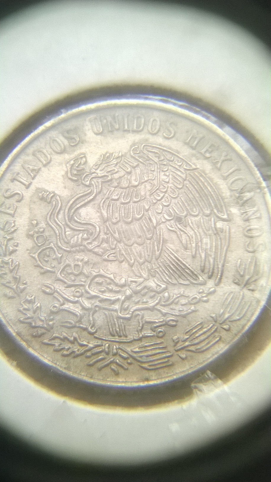 WP_20140903_005.jpg