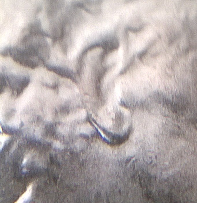 WP_20141017_009.jpg