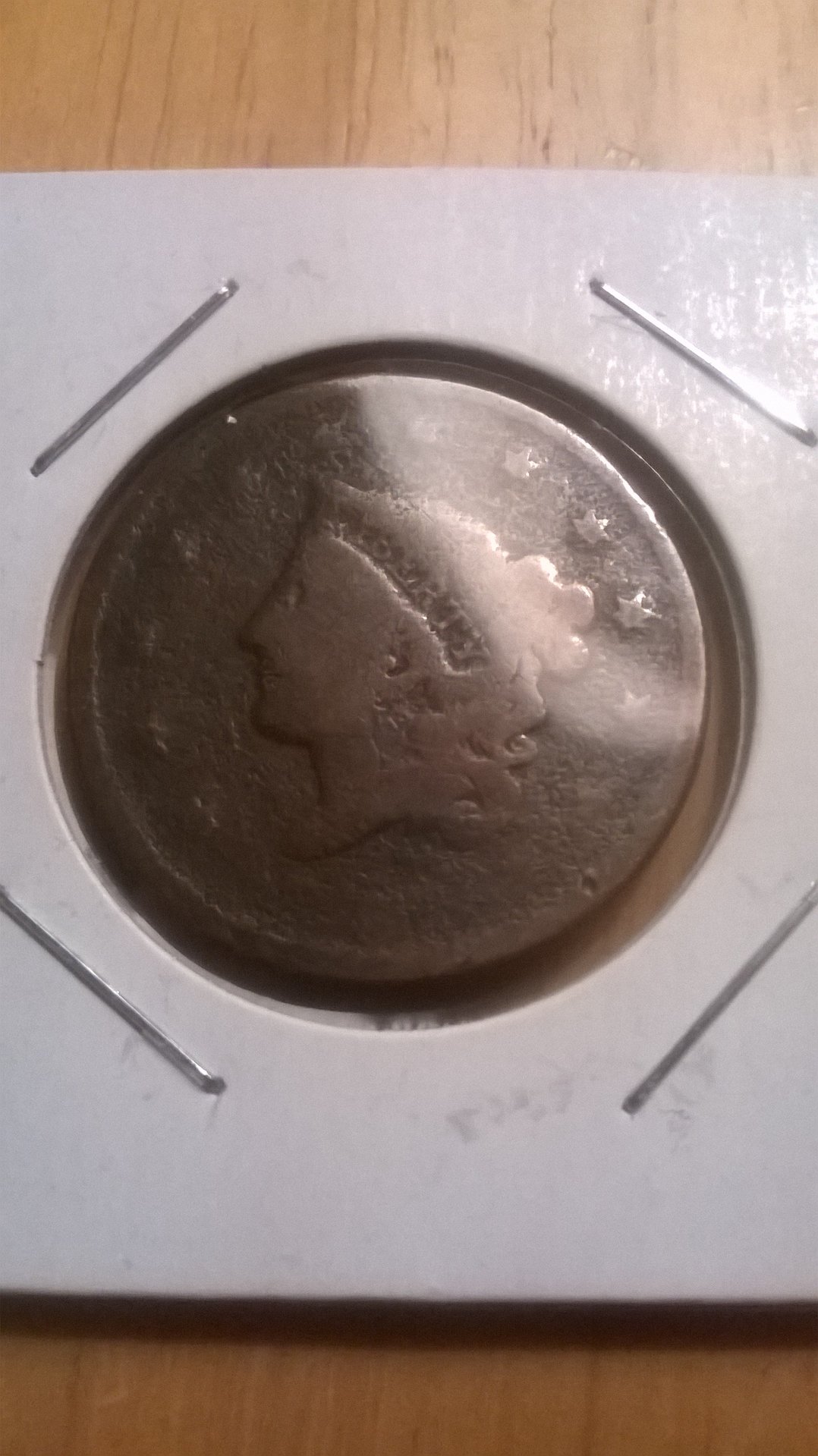 WP_20150312_004.jpg