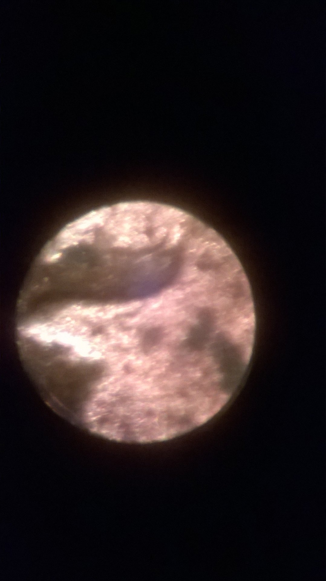 WP_20150329_027.jpg