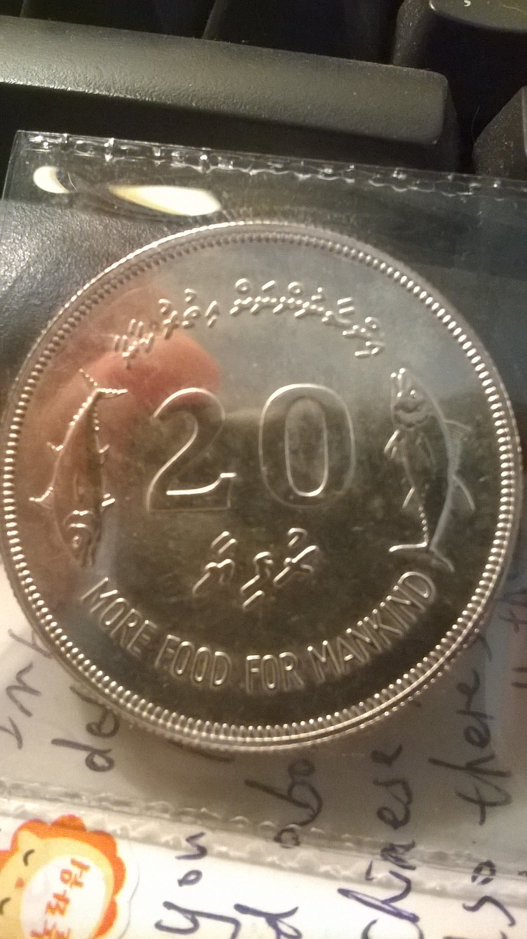 WP_20170519_006.jpg