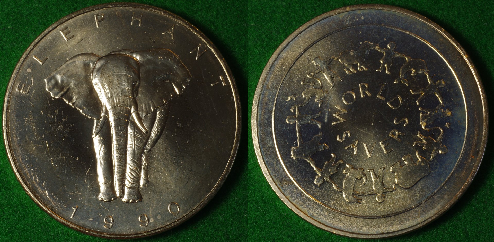 WS elephant 1-horz.jpg