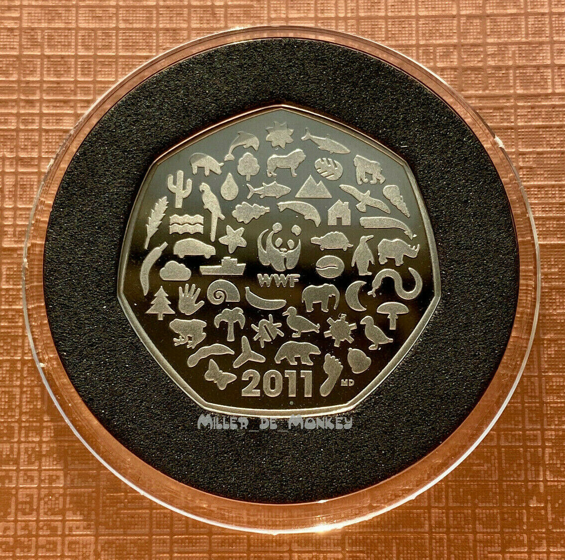 WWF1.jpg
