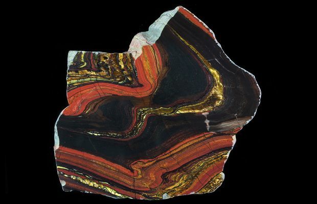 www.FossilEra.com-specimen-254-72907-13 (1).jpg